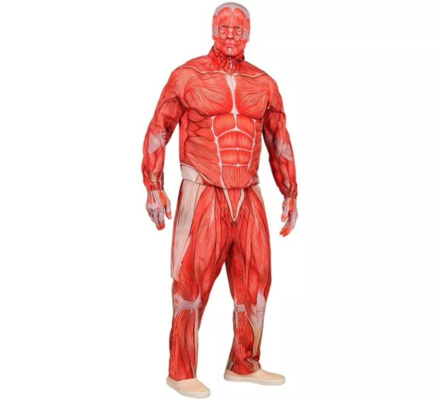 Translation missing: es.Disfraz Express de Anatómico con Músculos para hombre