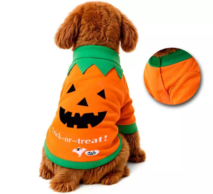 Translation missing: es.Disfraz Mascota Calabaza