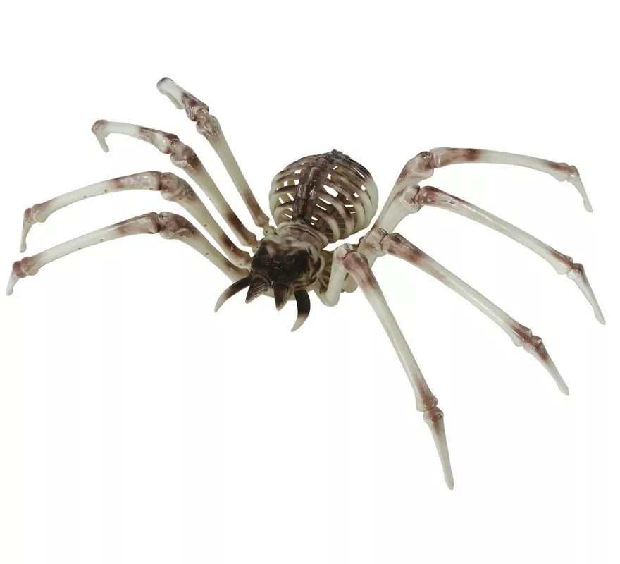 Translation missing: es.Esqueleto Araña 85x35 cm