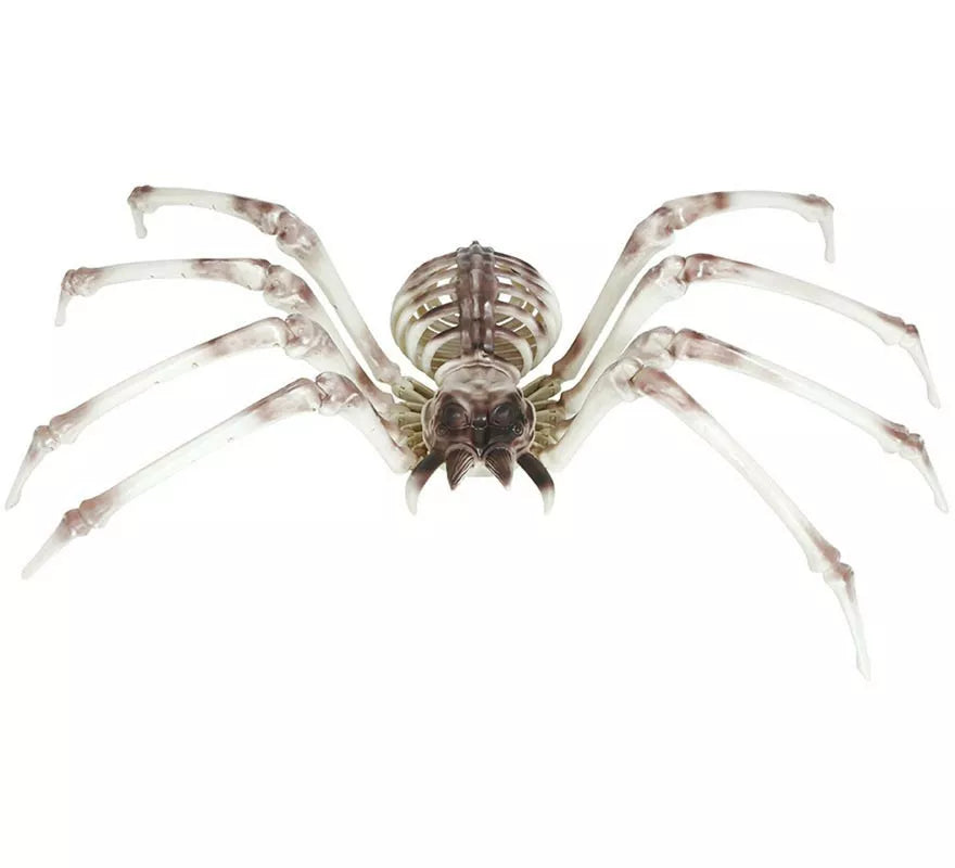Translation missing: es.Esqueleto Araña 85x35 cm