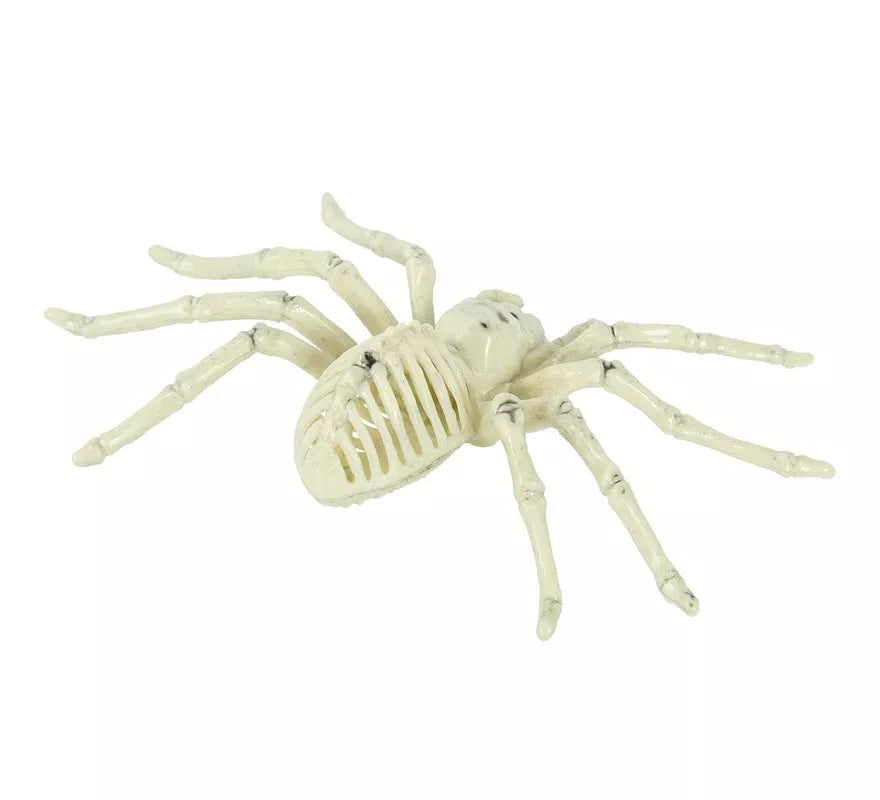 Translation missing: es.Esqueleto de Araña 24 Cm