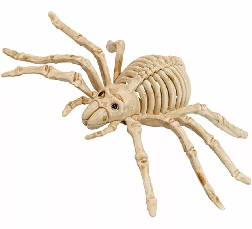 Translation missing: es.Esqueleto de Araña Aterradora de 24 cm