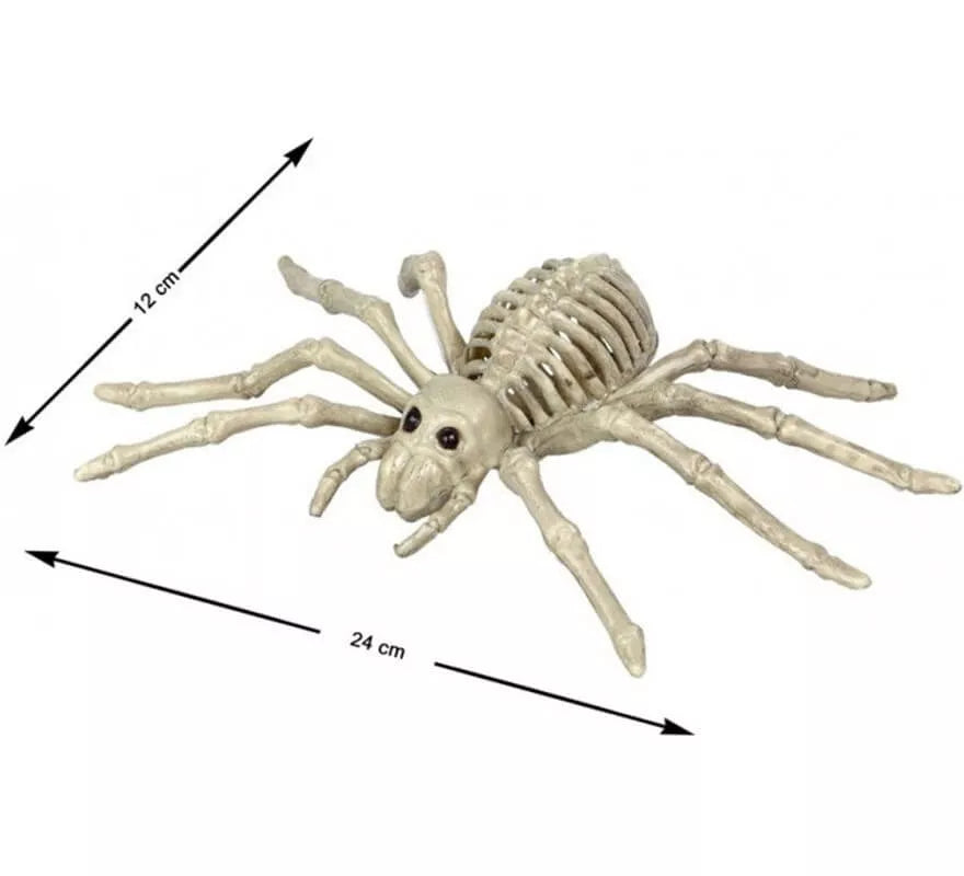 Translation missing: es.Esqueleto de Araña Tarántula de 24x12 cm