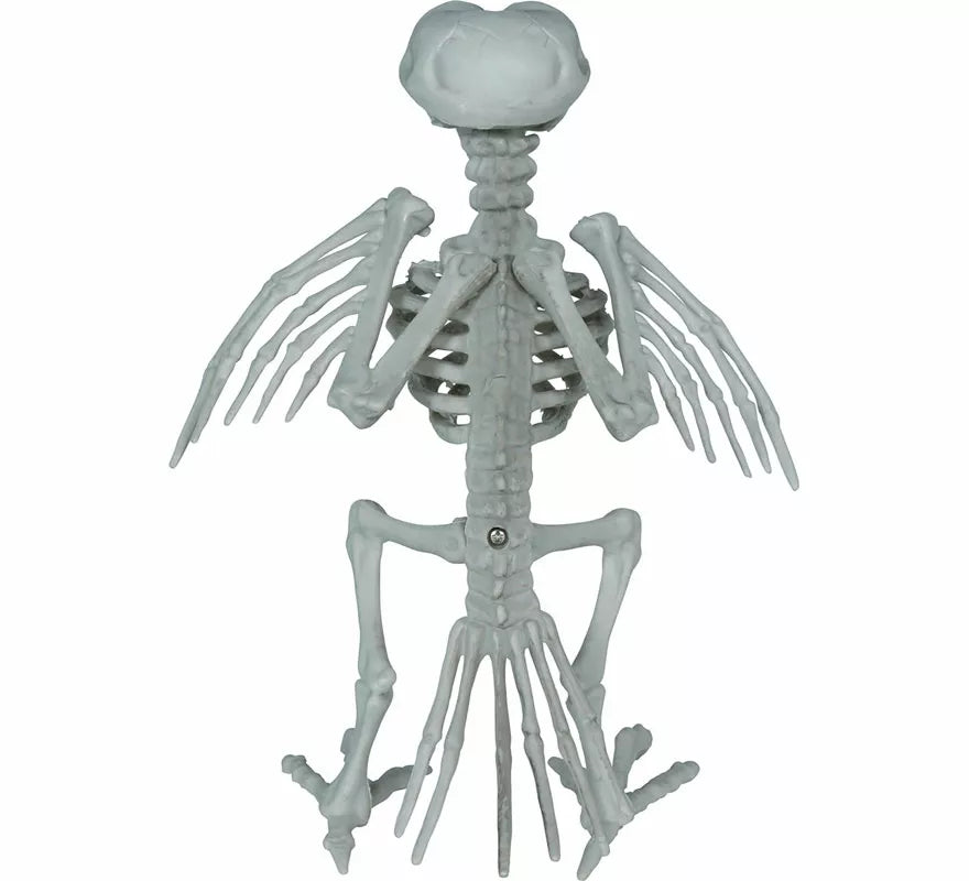 Esqueleto de Cuervo de 20 cm