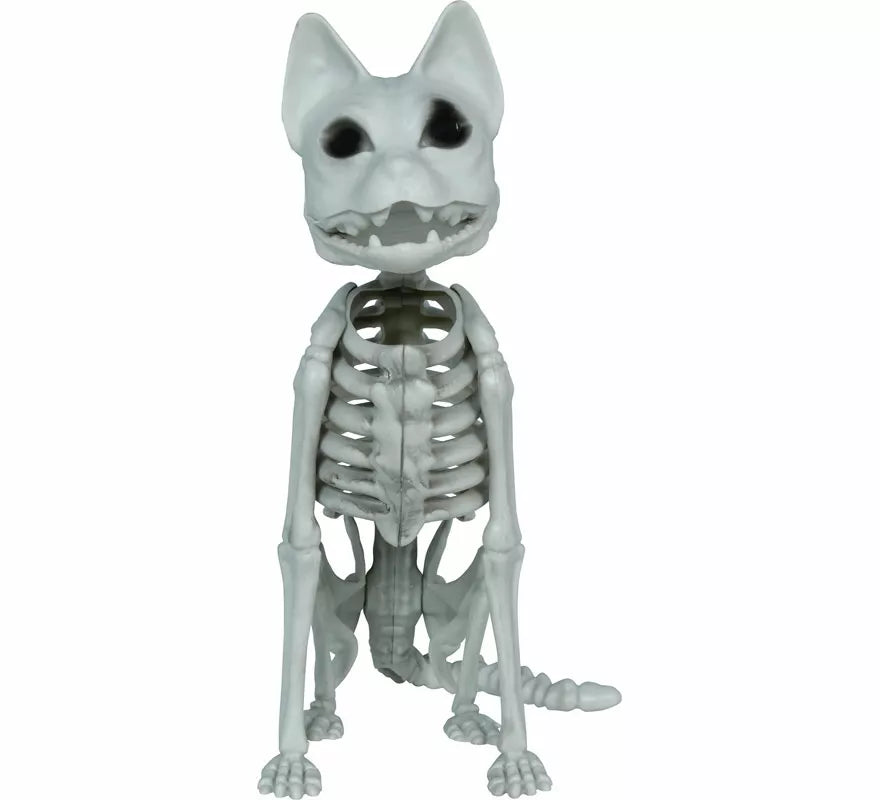 Translation missing: es.Esqueleto de Gato de 37 cm