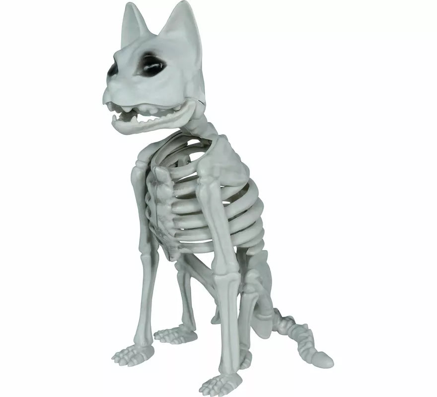 Translation missing: es.Esqueleto de Gato de 37 cm