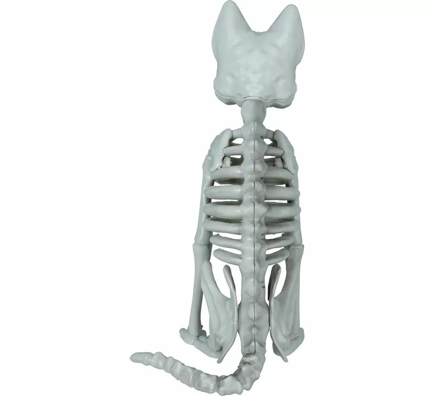 Esqueleto de Gato de 37 cm