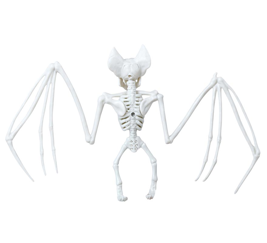 Esqueleto de Murciélago de 30X16 cm