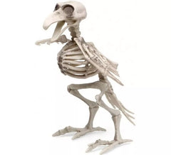 Esqueleto de Pájaro de 19x12 cm