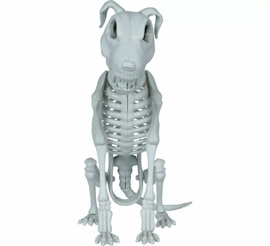 Translation missing: es.Esqueleto de Perro de 38 cm
