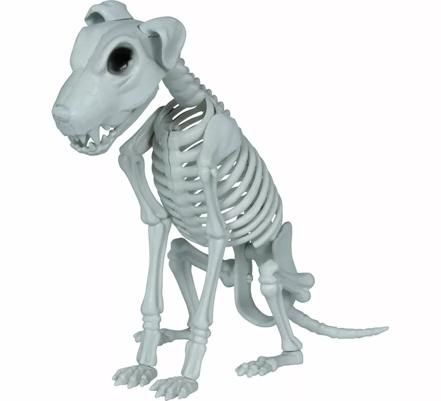 Translation missing: es.Esqueleto de Perro de 38 cm