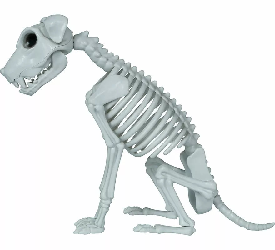Esqueleto de Perro de 38 cm