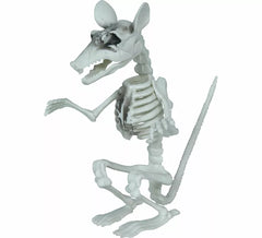 Esqueleto de Rata de 17 cm