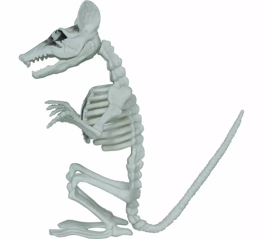 Esqueleto de Rata de 17 cm