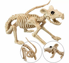 Esqueleto de Rata de 40 cm