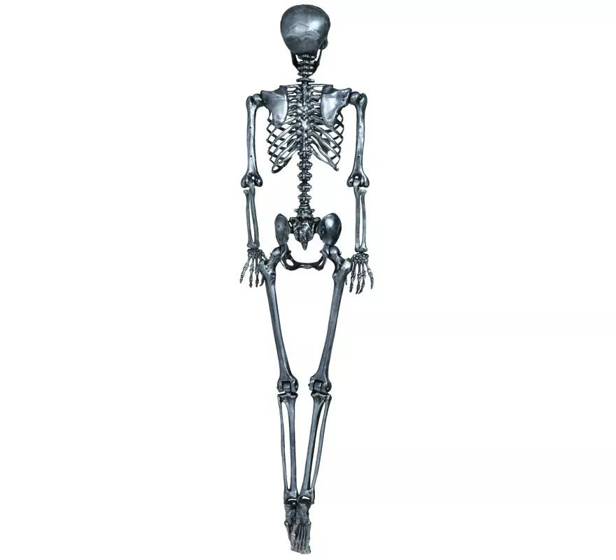 Translation missing: es.Esqueleto plata 160 cm