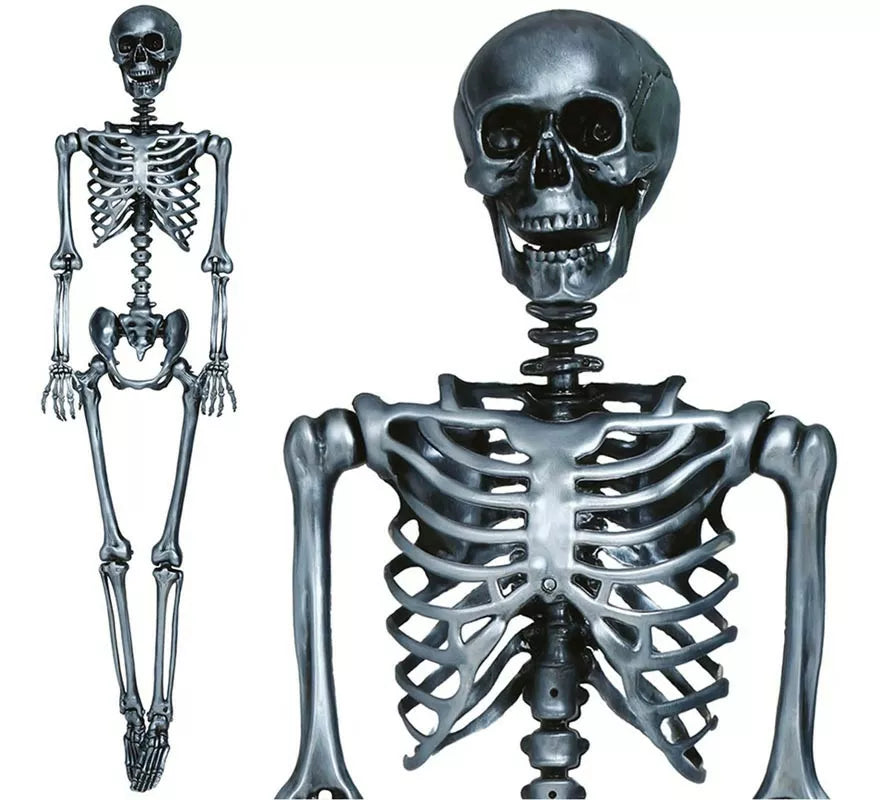 Translation missing: es.Esqueleto plata 160 cm
