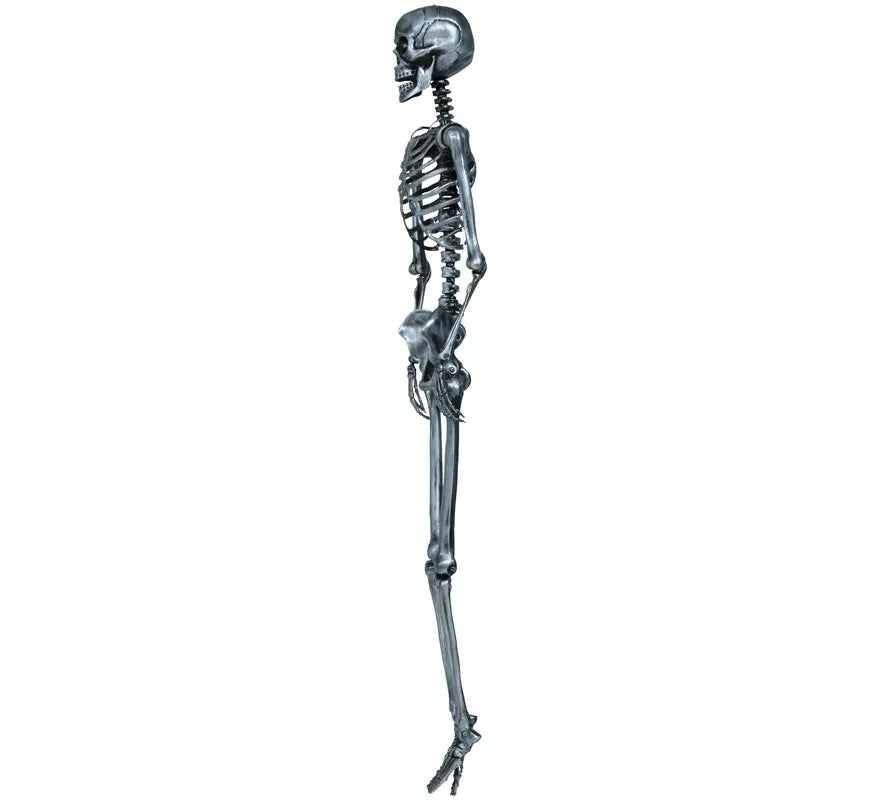 Esqueleto plata 160 cm