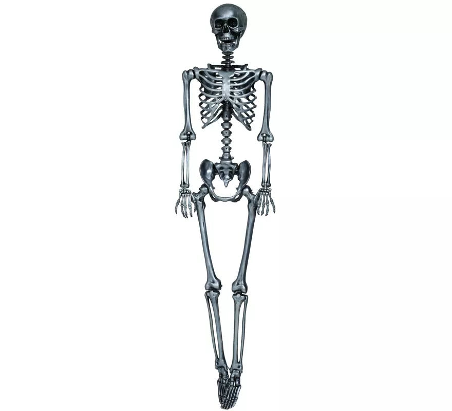 Esqueleto plata 160 cm