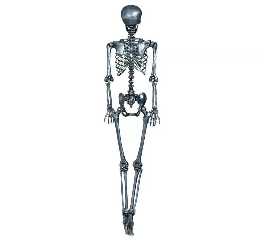 Translation missing: es.Esqueleto plata 90 cm