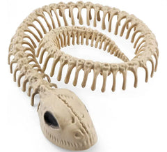 Esqueleto Serpiente de 16x3.5 cm
