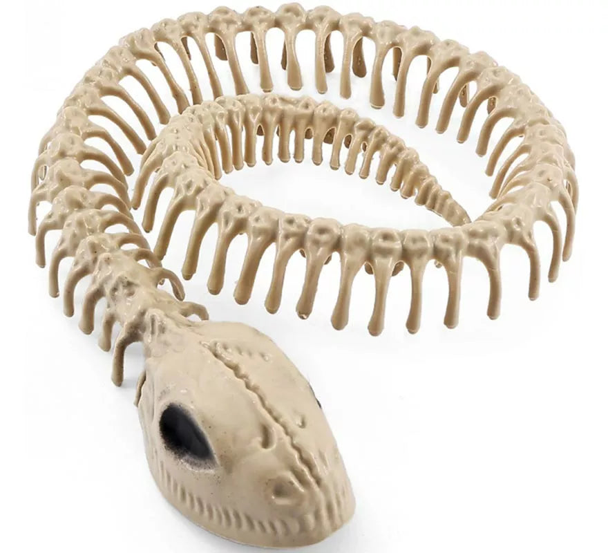 Translation missing: es.Esqueleto Serpiente de 16x3.5 cm