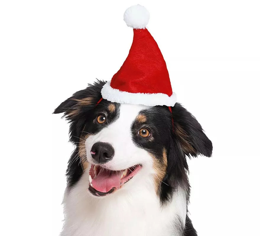 Translation missing: es.Gorro Navidad para perro