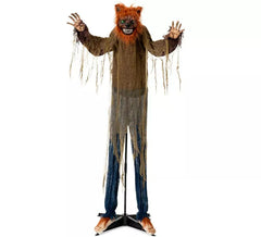Hombre Lobo Animado con base de 100x20x160 cm