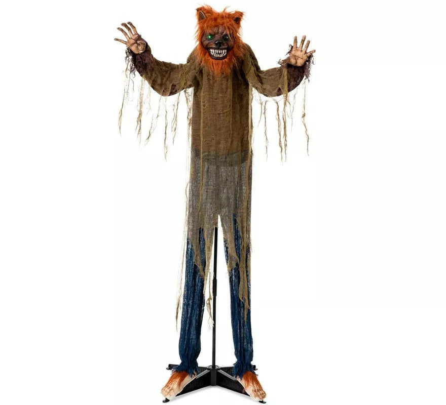Hombre Lobo Animado con base de 100x20x160 cm