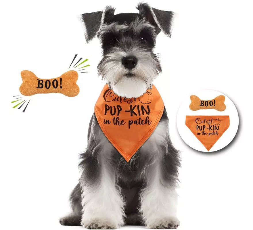 Translation missing: es.Kit de Calabaza para perro: Pañuelo y hueso