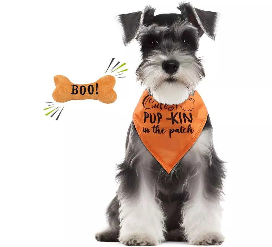 Translation missing: es.Kit de Calabaza para perro: Pañuelo y hueso
