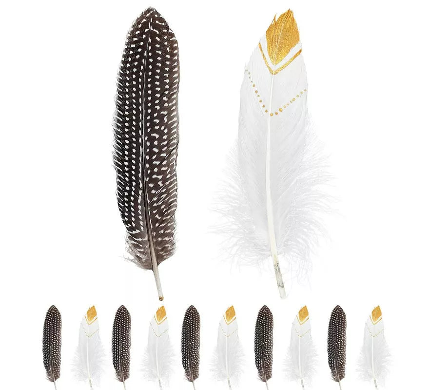 Translation missing: es.Pack de 12 Plumas de Indio en colores surtidos