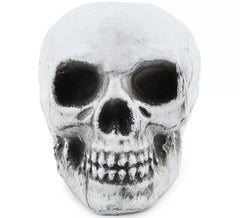 Pack de 6 Calaveras