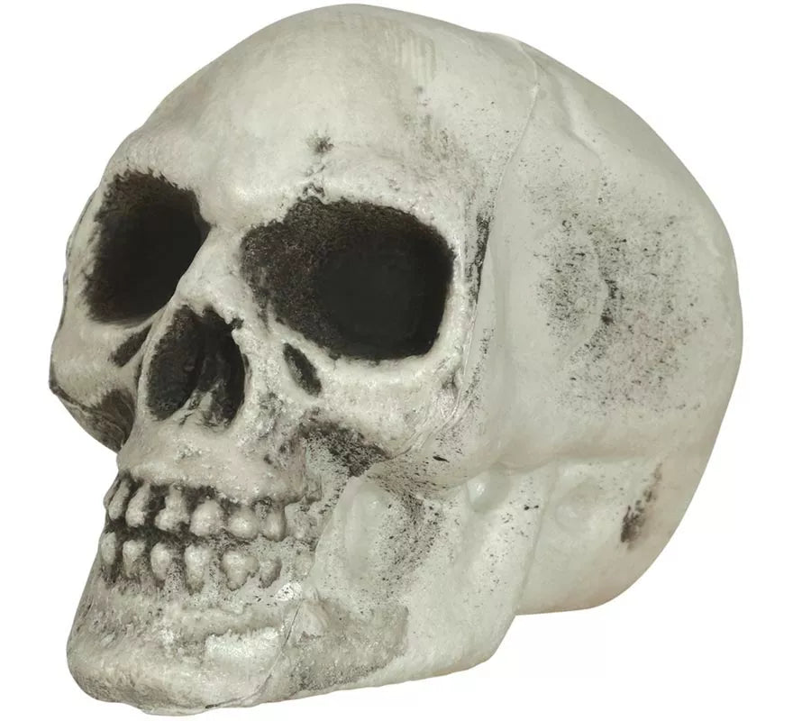 Translation missing: es.Pack de 6 Calaveras 8 cm