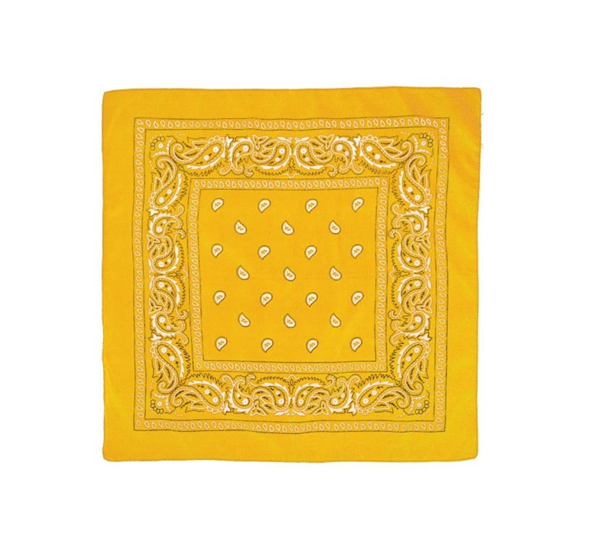 Translation missing: es.Pañuelo Paisley de 54x54 cm en varios colores