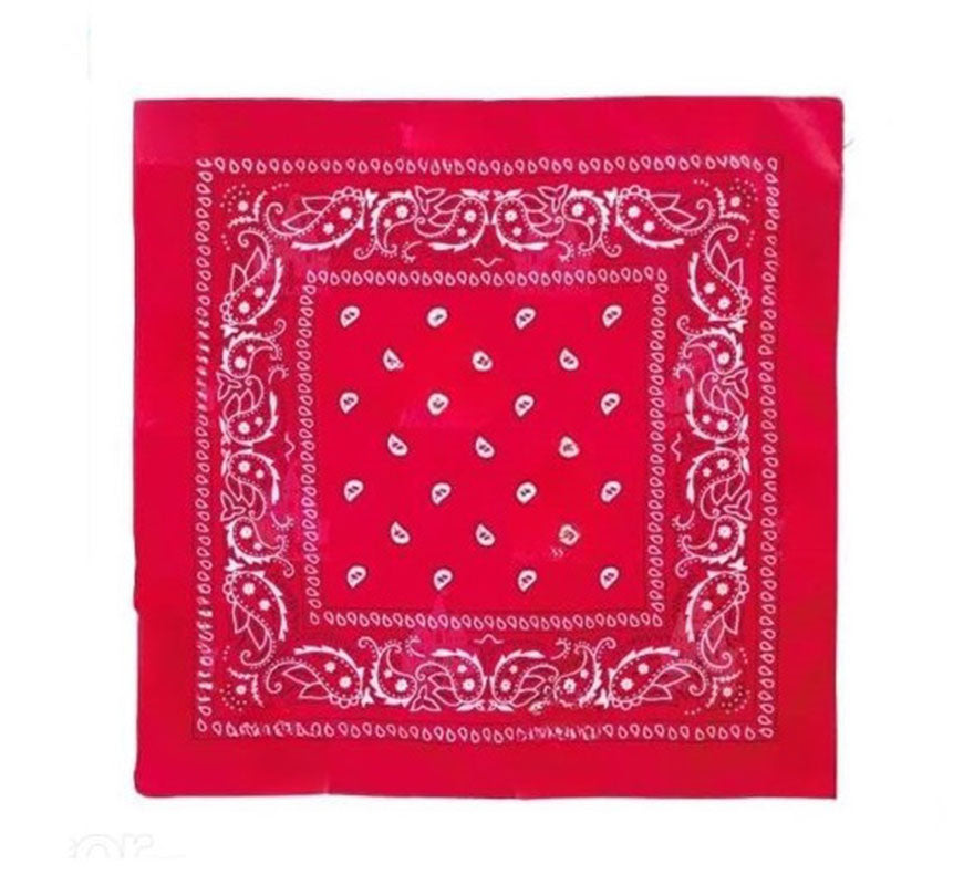 Translation missing: es.Pañuelo Paisley de 54x54 cm en varios colores