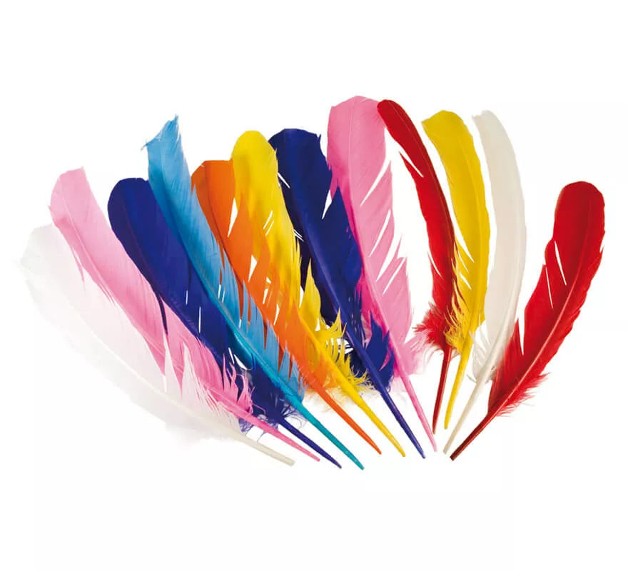 Translation missing: es.Pluma suelta de Indio de 30 cm 7 colores surtidos