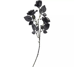 Ramo de Rosas negras con Ojos
