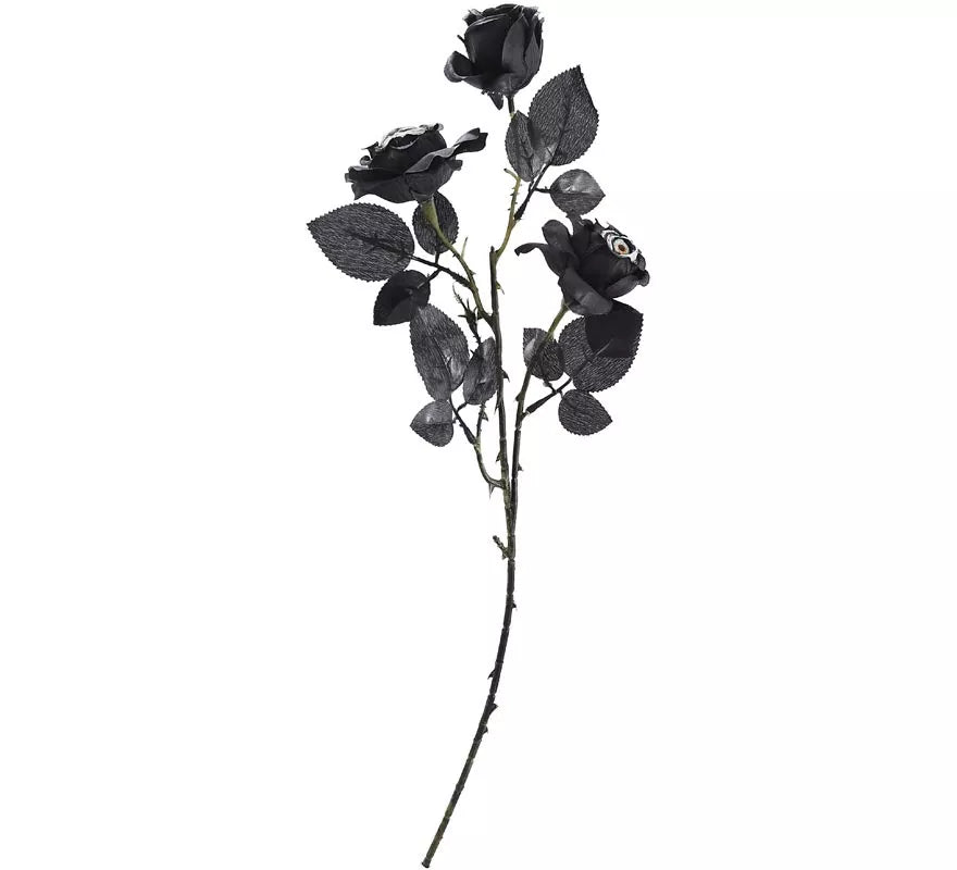 Translation missing: es.Ramo de Rosas negras con Ojos