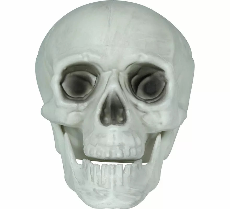 Translation missing: es.Set 3 Calaveras de 15 cm