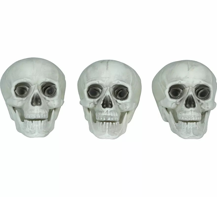Set 3 Calaveras de 15 cm