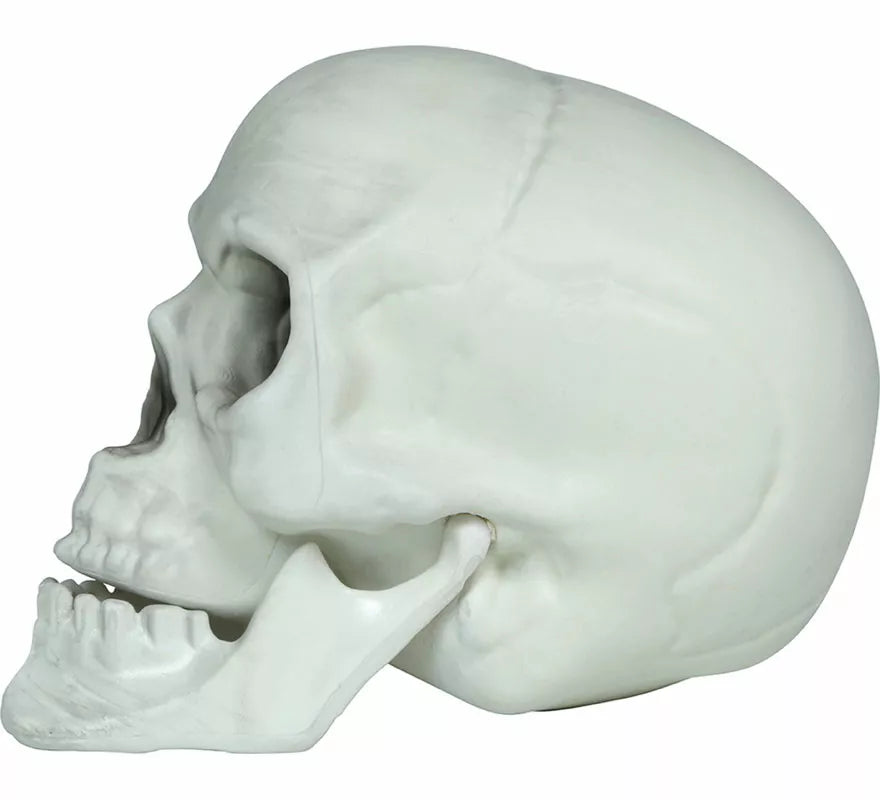 Set 3 Calaveras de 15 cm