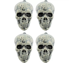 Set de 4 Calaveras
