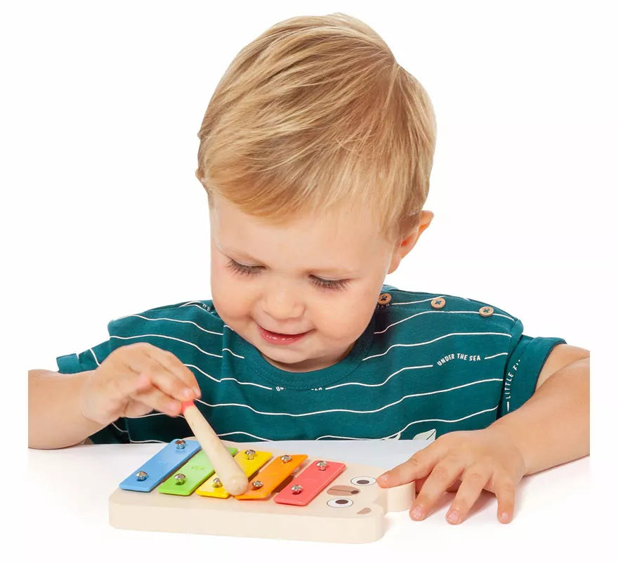 Set Instrumentos Musicales infantil