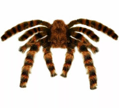 Tarántula Peluda Gigante Moldeable de 65 cm