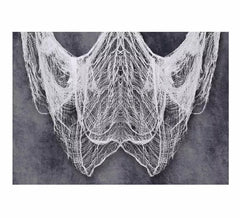 Tela Blanca Decorativa de 200X500 cm