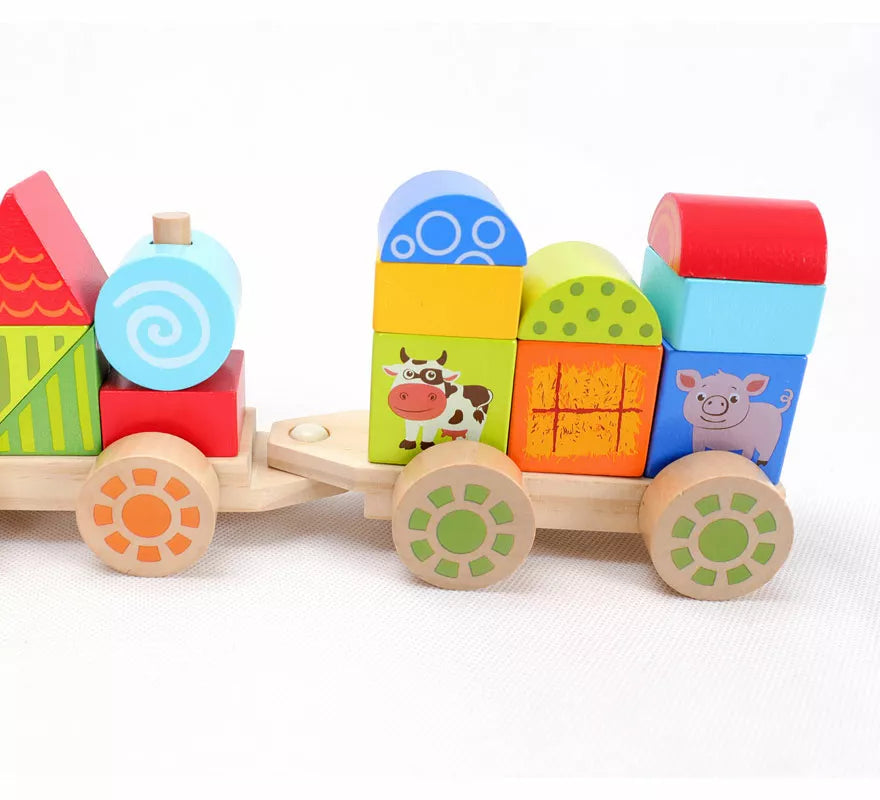 Tren de madera infantil